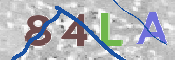 CAPTCHA-Bild